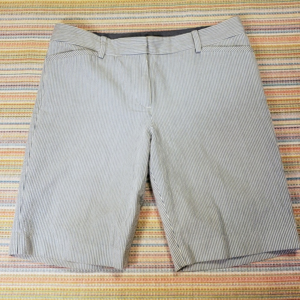 Talbots Blue/White Stripe Shorts 6